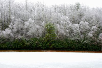 Ice at Primland