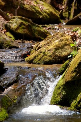Primlands hidden treasures 