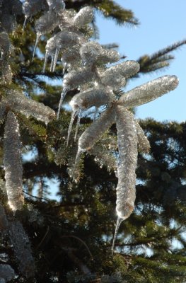 Mother Nature in the Winter is Awesome