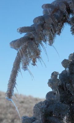 Winter months in the Mountians of Virginia