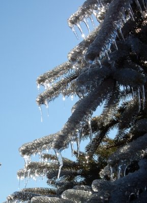 Blue Ridge Mtns. Winter Storms are Awesome