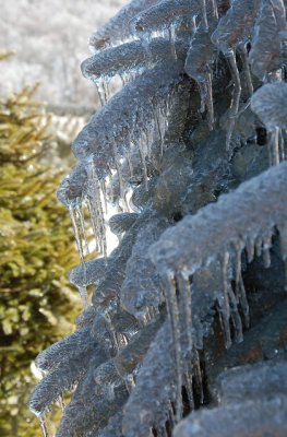 Wintertime in the Blue Ridge Mtns.