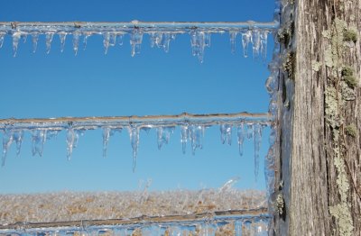 Winter's touch
