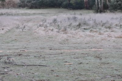 Frosty Mitchell Creek campsite