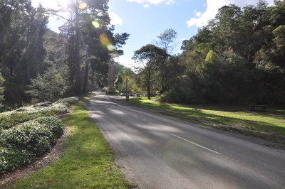 high_country_june_2010