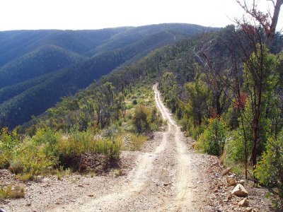 Basalt Knob Track