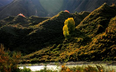 雅龍江峽谷