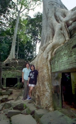 ANGKOR 242