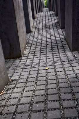 g3/14/847214/3/120372934.dK5VH8NV.jpg