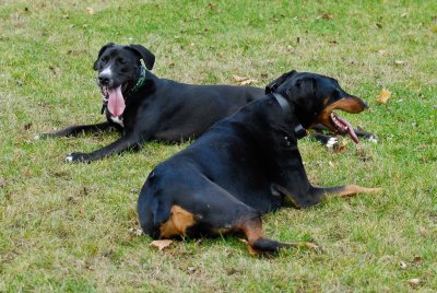 Lola and Holly at Play-3