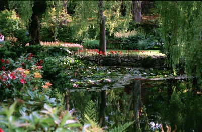 Butchart Garden Reflections