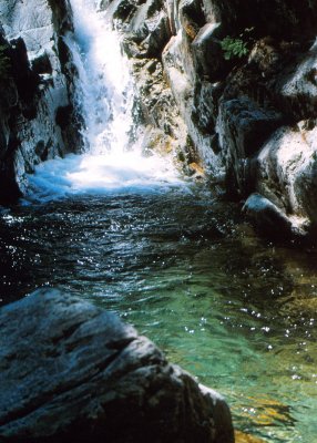 Fern Falls Pool
