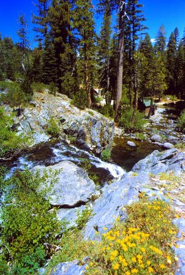 Gray Eagle Falls Looking Down