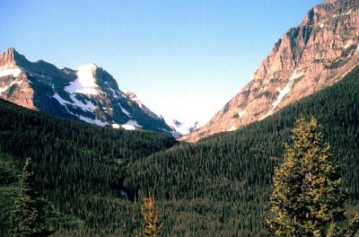 Peace Park Mountain Scene in Summer