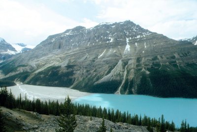 Peace Park Mountain Scene