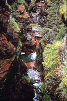 Peace Park Mountain Scene-2