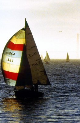 Sailing on San Francisco Bay