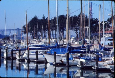 San Francisco Yacht Basin