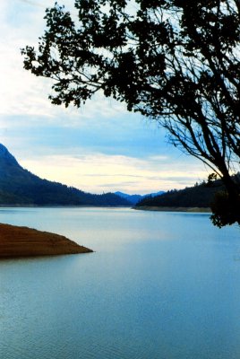 Shasta, tTightlight on the McCloud