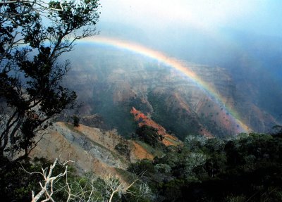 Waimea Canyon Rainbow