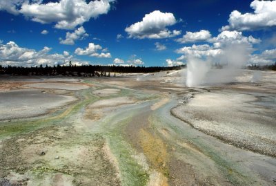Yellowstone Porcelain Basin