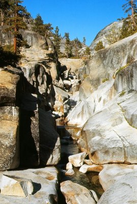 Yosemite Glaciial Marks