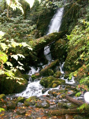 Washington Stream