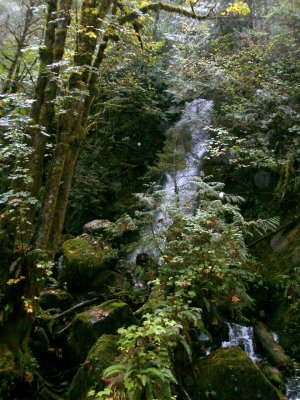Mountain Fall