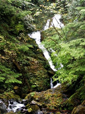 Washington Stream 2