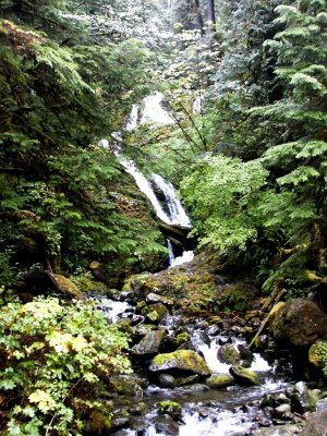 Washington Stream 3