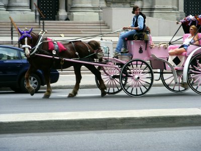 Montreal Pink Carriage Ride