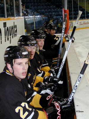 The Fathers' Bench