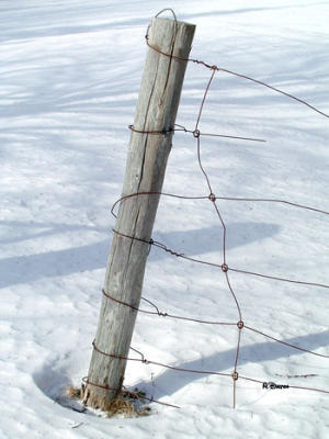 A Wired Pole