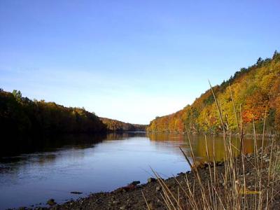 A Colorful Lake