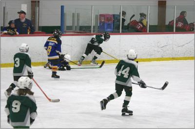 Canton Hockey 2/11/06