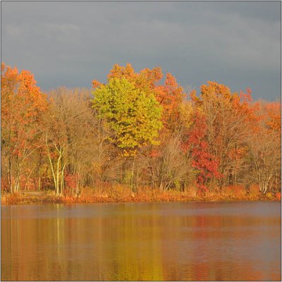 cutler_nov07