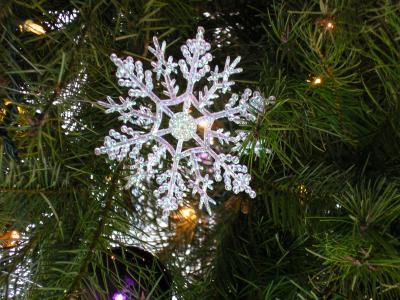 Christmas Snowflake 2005.jpg