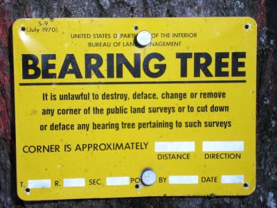Bearing tree