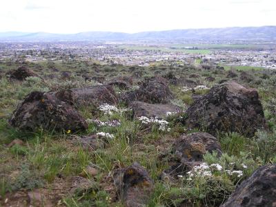 Yakima from Cowiche Conservancy property