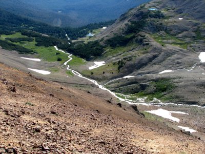 IMG_0439Headwaters Conrad Creek.JPG