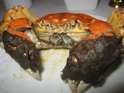 Shanghai Hairy Crab