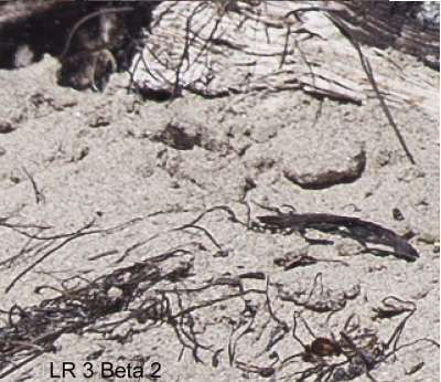 LR-3-Beta-vs-DPP.gif