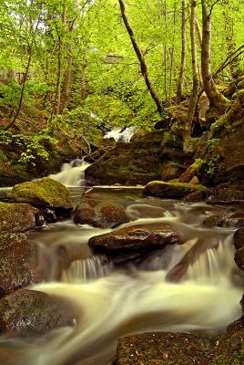 Falls near Loch Tay