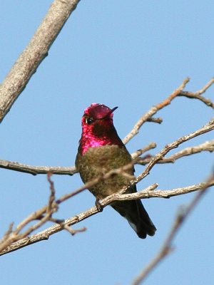 Shoreline Park 3