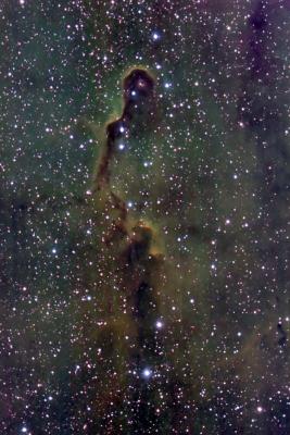 The Elephant's Trunk Nebula  in Cepheus