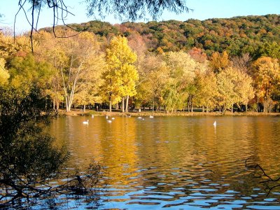 Autumn @Rockland Lake