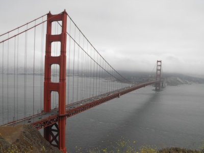 g3/15/238515/3/123490412.a8houlXf.jpg