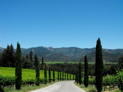 Napa Valley
