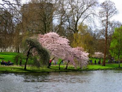 London Park