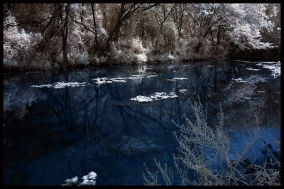 DSC_4340w.jpg